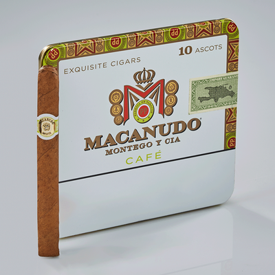 Macanudo Ascots