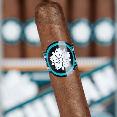 Room101 Ichiban Limited Edition Maduro