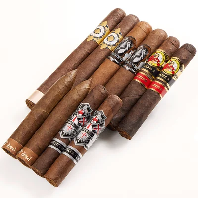 Full Bodied Frenzy
