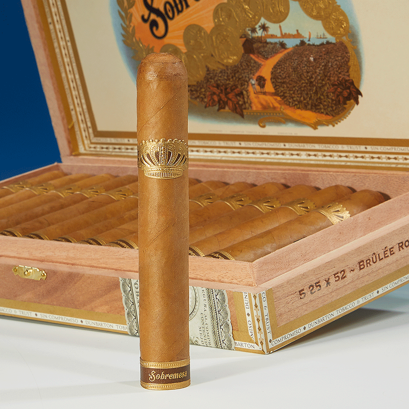 harley benton sc 550 tobacco The Harley Benton SC-550 Faded Tobacco Flame with Dr. Ric