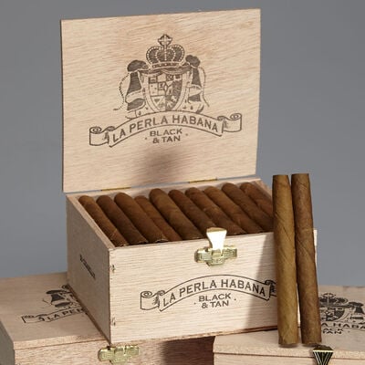 La Perla Habana Black & Tan