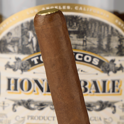 Viaje Honey Bale