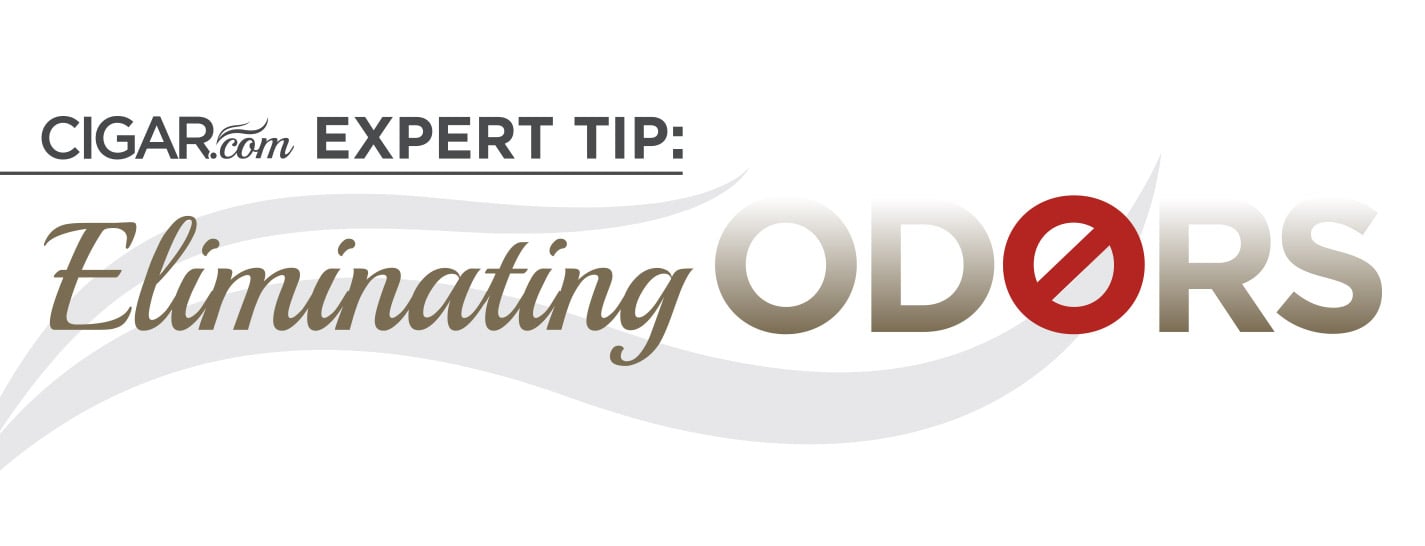 Expert Tip: Eliminating Odors content main image
