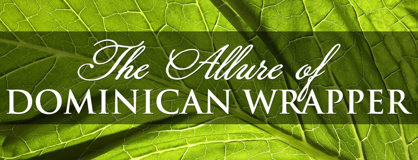 The Allure of Dominican Wrapper content main image
