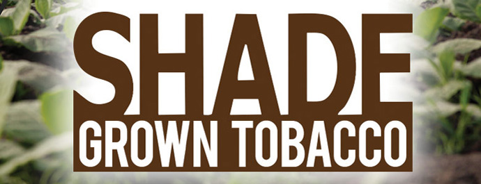 Shade Grown Tobacco content main image
