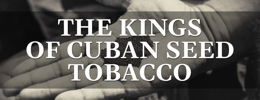 The Kings Of Cuban Seed Tobacco content main image